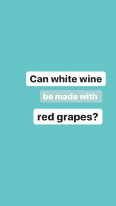 Can white wine be made with red grapes?