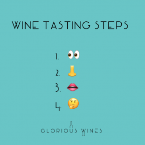 Wine Tasting Steps