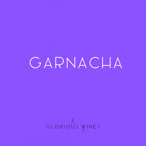 Garnacha - Spanish red grape